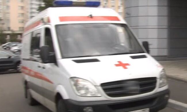 Тернопільщину атакувала нова зараза - переляканий чоловік вбив кота, щоб захистити сім'ю