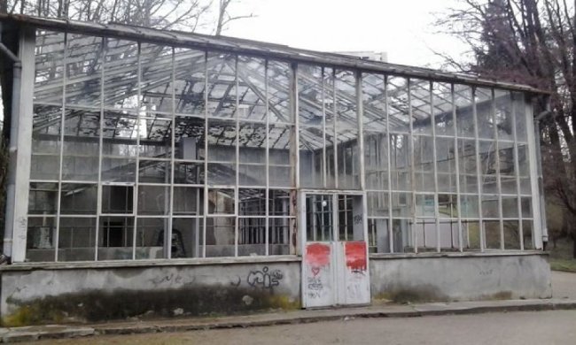 В головному парку Львова почали ремонтувати оранжерею