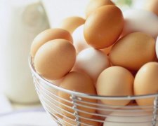 Коричневые против белых: что означает цвет яиц