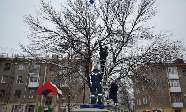 В Днепре ребенок "завис" на дереве, все решили фатальные секунды: видео