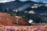 Карпати, фото Олександр Калінін