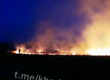 Под Харьковом пылает поле, спасатели и местные не справляются: "Горит жутко!"