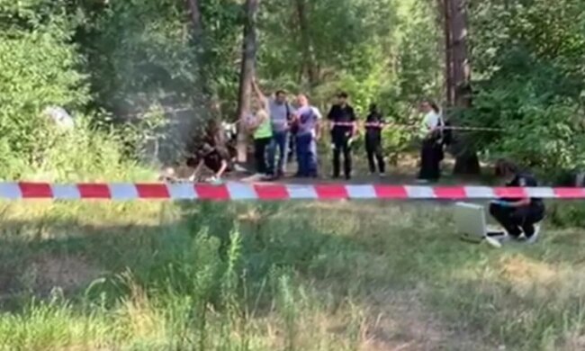 Хозяйка киевской юрфирмы убила, расчленила и сожгла знакомого - "Все ради…"