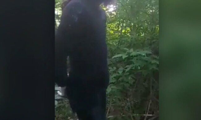 Священник в женской одежде. Скрин, видео YouTube