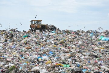 Грибовицьке сміттєзвалище, фото "Суспільне"