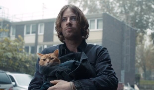 "Уличный кот по кличке Боб", кадр из фильма