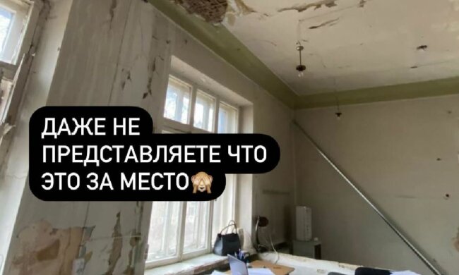 Stories Алины Шинкаренко, скриншот: Instagram