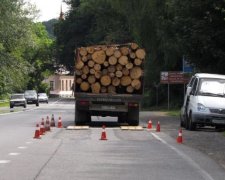 Вывоз леса из Украины: с контрабандистами разговор будет короткий
