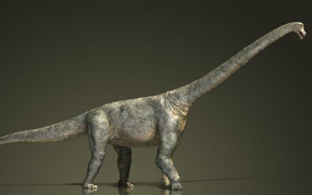 Ученые нашли крупнейшее скопление следов динозавров