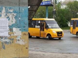 Оголошення українських партизанів. Фото: Telegram