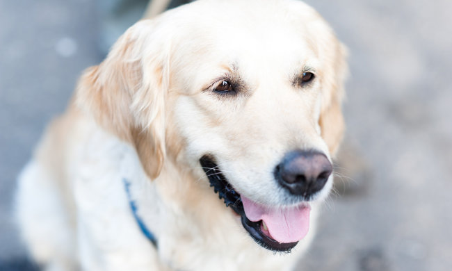 Найкращі меми на 14 серпня: п'яна Тейлор Свіфт і всесильна клейка стрічка