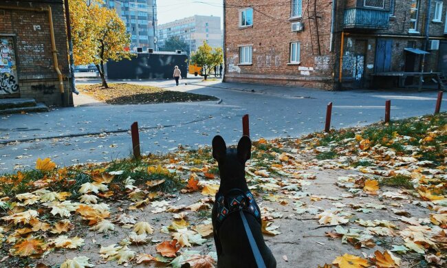 Киев, фото: Знай.ua