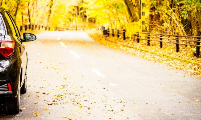 Автомобиль в осенний сезон. Фото Freepik