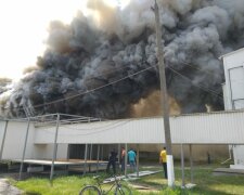 Столб дыма на всю Одессу: жуткий пожар вспыхнул в популярном магазине, испуганные люди бросили все