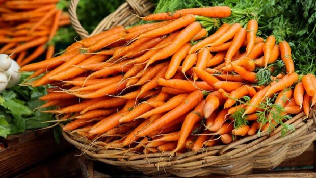 Морковь, фото из свободных источников