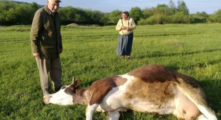 Село, скриншот: YouTube