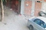 кошка спасла ребенка, скриншот с видео