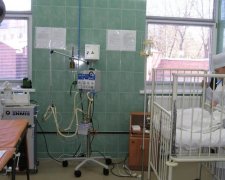 Чатує під ногами: небезпечний хижак відправив дитину до реанімації