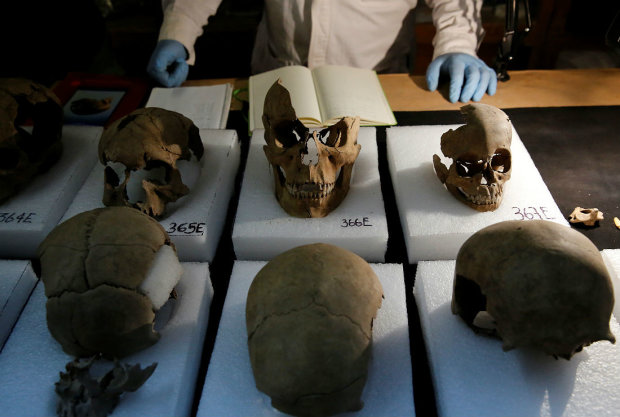 Вони серед нас: у Європі знайшли витягнуті черепи невідомих істот