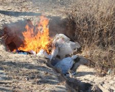 Партію наркотиків на 1,5 млн грн знищили на Донеччині
