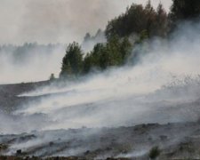 Всі торфовища на Київщині загасили