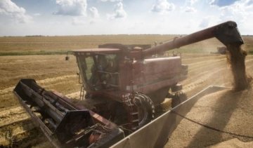 Якість українських продуктів зростатиме швидше за їхню ціну