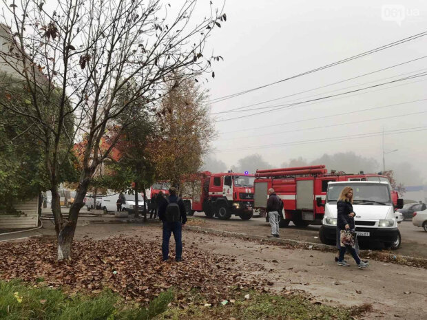 В Запорожье вспыхнул торговый центр, спасатели слетелись со всего города: кадры переполоха