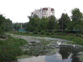 Прогноз погоди, скріншот з відео