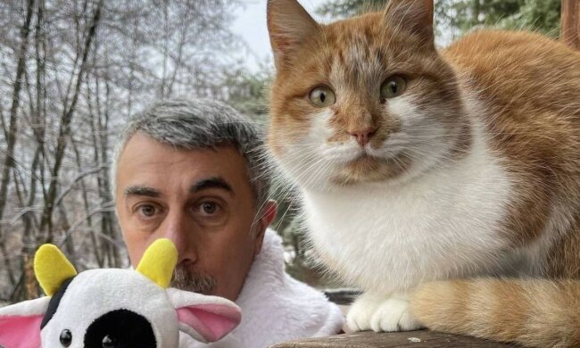 Евгений Комаровский, фото: Instagram