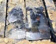 Охотники за сокровищами раскопали древнее изображение Конфуция