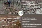 Держекоінспекція викрила масштабні порушення у Чорнобильському заповіднику: збитки на 1,58 млн грн