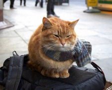 5 простих способів вижити на вулиці