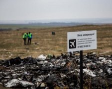 Катастрофа MH17: Нідерланди зважилися на важливий крок