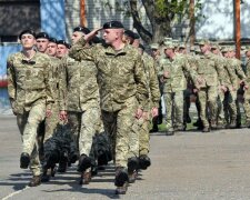 В Украине собрались отменить срочную службу: Арахамия презентовал поэтапную схему