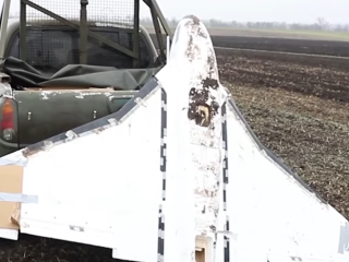 БПЛА "Гербера". Фото: скрин youtube