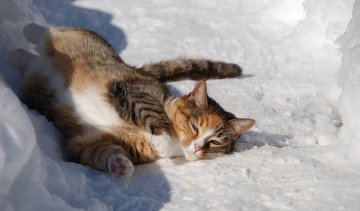 Во всех регионах Украины потеплеет