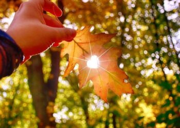 Осень, погода, фото из соцсетей