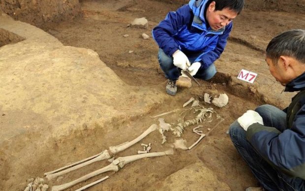 Праотцы человечества? Найдены останки древних гигантов: видео
