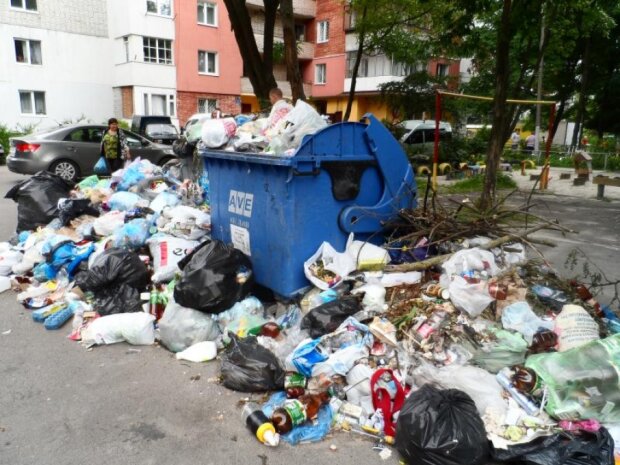Оседлала гору мусора: в Днепре обезумевшая бабушка превратила квартиру в свалку, видео не для брезгливых