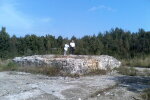 Під Франківськом пустять з молотка "мрію" Гітлера