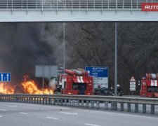 Дика ДТП на Житомирщині: траса перетворилась на пекло із вогню та крові