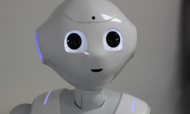 Папаша Гобсек в шоке: роботы проникнут в популярную сферу