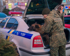 Під Тернополем копи випадково "закрили" найнебезпечнішу банду: історія, гідна голлівудської екранізації