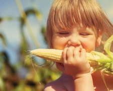 ООН наполохана через загрозу зникнення кукурудзи