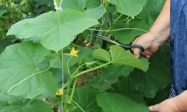 Город, фото: скріншот з відео