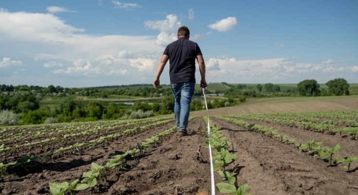 Чоловік міряє земельну ділянку