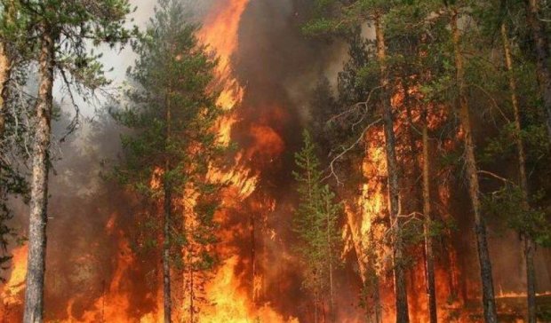 Из-за жары в Забайкалье горит десять тысяч гектаров