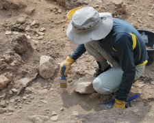 Вчені натрапили на унікальну тварину: вважали вимерлою 300 років тому