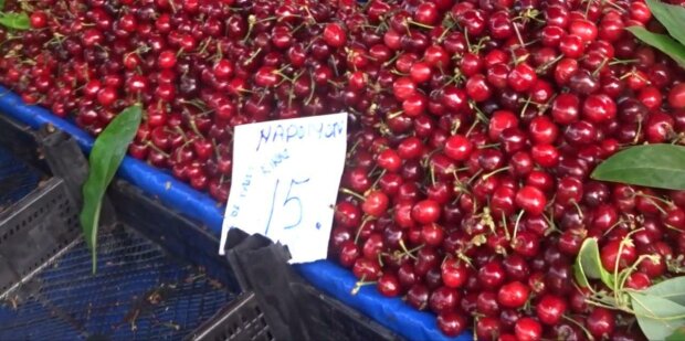 В Мелитополе впаривают черешни по "кусючим" ценам - один несчастный стакан на сотни гривен