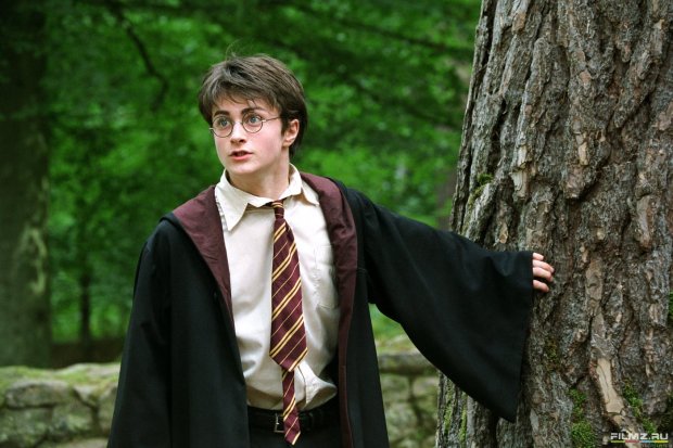 Дэниел Рэдклифф рассказал шокирующую правду о съемках “Гарри Поттера”: фанаты не могут поверить
